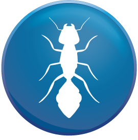 Bug control is basic as bugs can be both a disrupting impact and a threat to success.